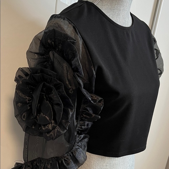NWOT Elegant Black Fitted Stretch Sheer Rosette Sleeve Top, Size 40/8/M - Picture 2 of 12